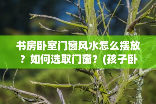 书房卧室门窗风水怎么摆放？如何选取门窗？(孩子卧室书房一体风水)