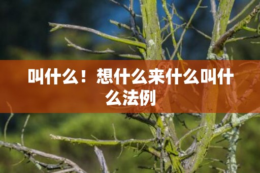 叫什么！想什么来什么叫什么法例