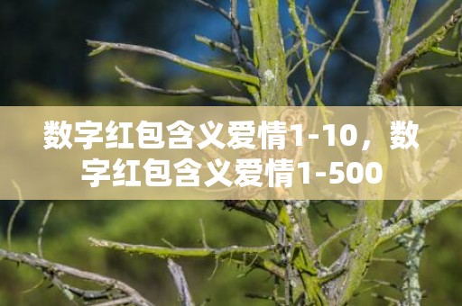 数字红包含义爱情1-10，数字红包含义爱情1-500