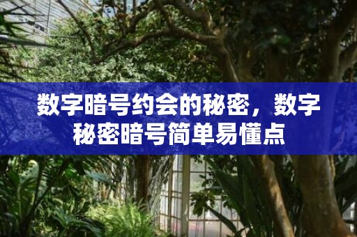 数字暗号约会的秘密，数字秘密暗号简单易懂点