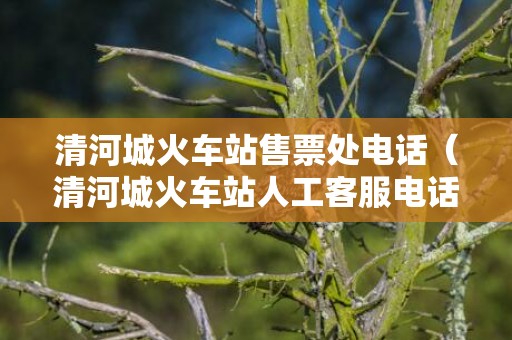 清河城火车站售票处电话（清河城火车站人工客服电话是多少）