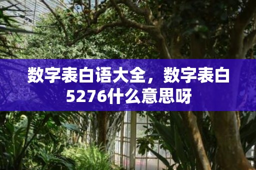 数字表白语大全，数字表白5276什么意思呀
