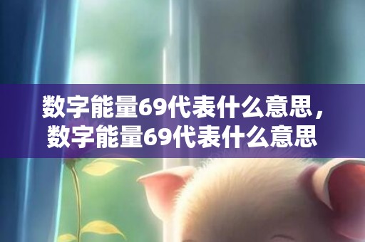 数字能量69代表什么意思，数字能量69代表什么意思
