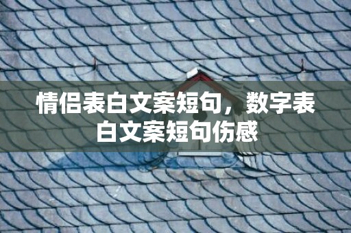 情侣表白文案短句，数字表白文案短句伤感