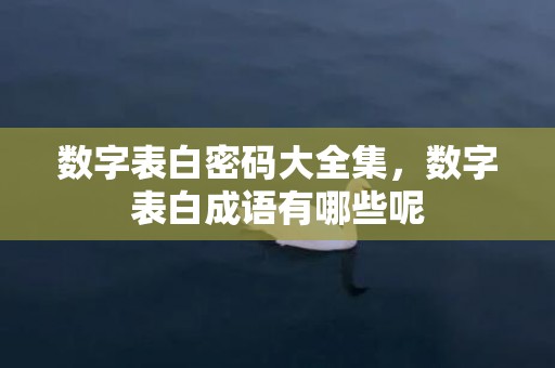 数字表白密码大全集，数字表白成语有哪些呢
