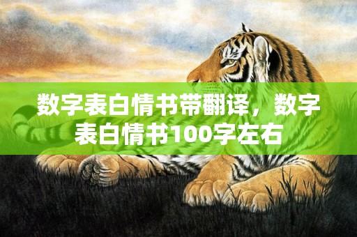 数字表白情书带翻译，数字表白情书100字左右
