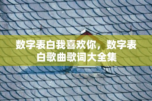 数字表白我喜欢你，数字表白歌曲歌词大全集