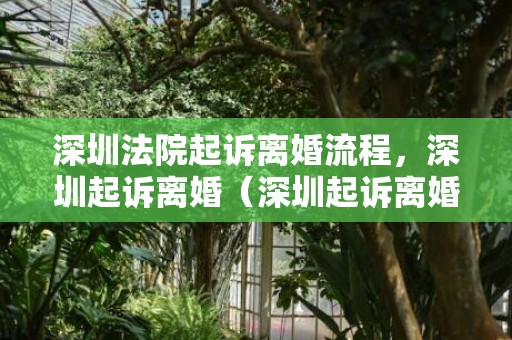深圳法院起诉离婚流程，深圳起诉离婚（深圳起诉离婚要多久）
