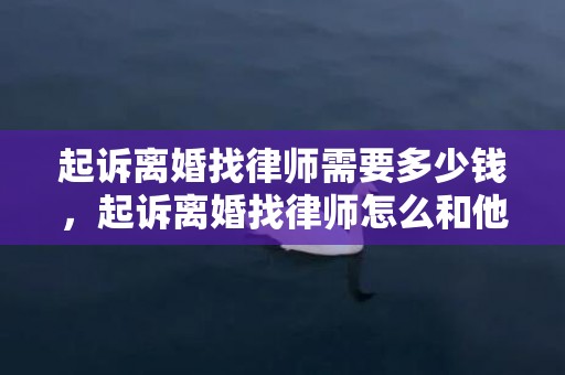 起诉离婚找律师需要多少钱，起诉离婚找律师怎么和他谈（起诉离婚找律师能成功吗）