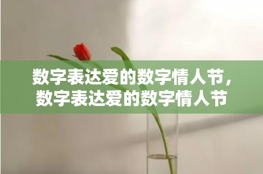 数字表达爱的数字情人节，数字表达爱的数字情人节