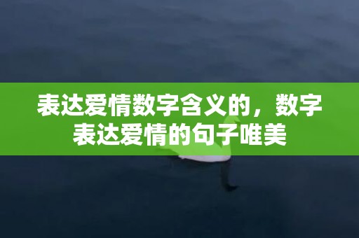 表达爱情数字含义的，数字表达爱情的句子唯美