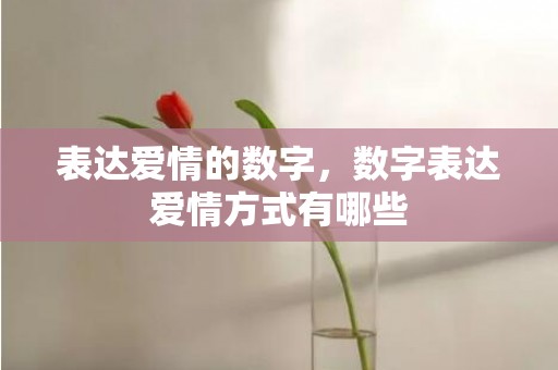 表达爱情的数字，数字表达爱情方式有哪些