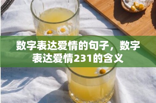 数字表达爱情的句子，数字表达爱情231的含义