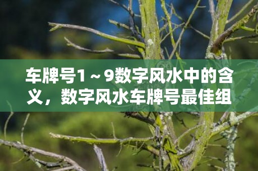 车牌号1～9数字风水中的含义，数字风水车牌号最佳组合