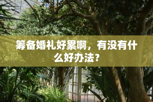 筹备婚礼好累啊，有没有什么好办法？