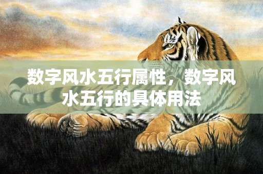 数字风水五行属性，数字风水五行的具体用法