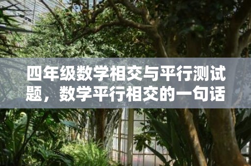 四年级数学相交与平行测试题，数学平行相交的一句话