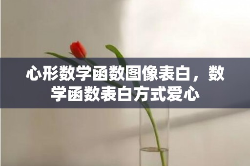 心形数学函数图像表白，数学函数表白方式爱心
