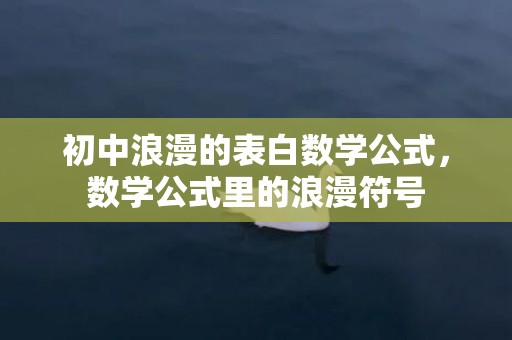 初中浪漫的表白数学公式，数学公式里的浪漫符号
