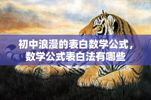 初中浪漫的表白数学公式，数学公式表白法有哪些