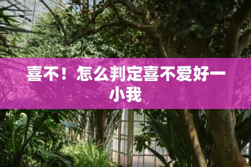 喜不！怎么判定喜不爱好一小我