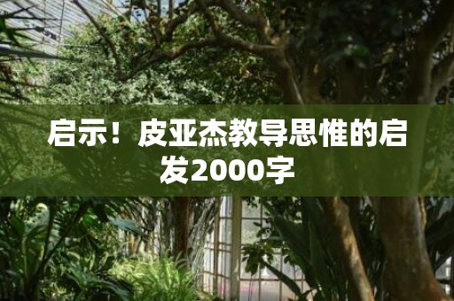 启示！皮亚杰教导思惟的启发2000字