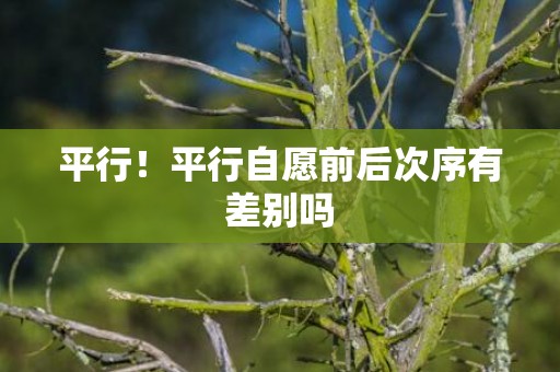 平行！平行自愿前后次序有差别吗