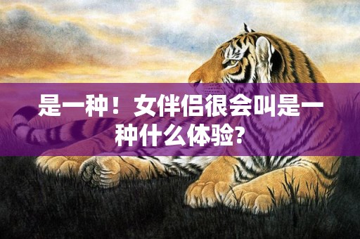 是一种！女伴侣很会叫是一种什么体验?