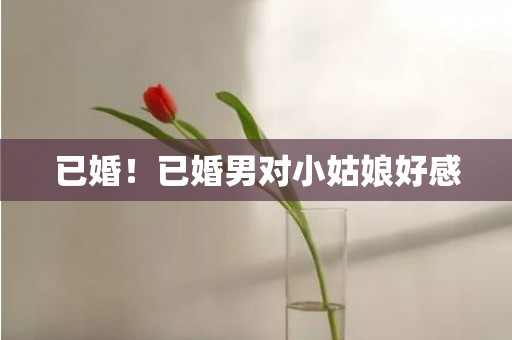 已婚！已婚男对小姑娘好感