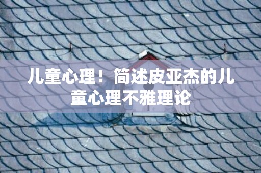 儿童心理！简述皮亚杰的儿童心理不雅理论