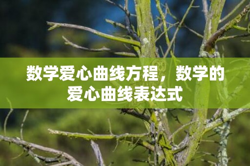 数学爱心曲线方程，数学的爱心曲线表达式
