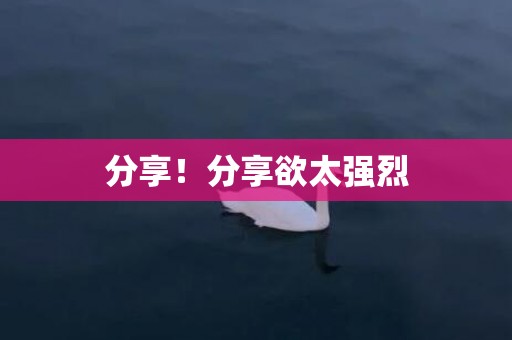 分享！分享欲太强烈