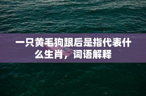 一只黄毛狗跟后是指代表什么生肖，词语解释