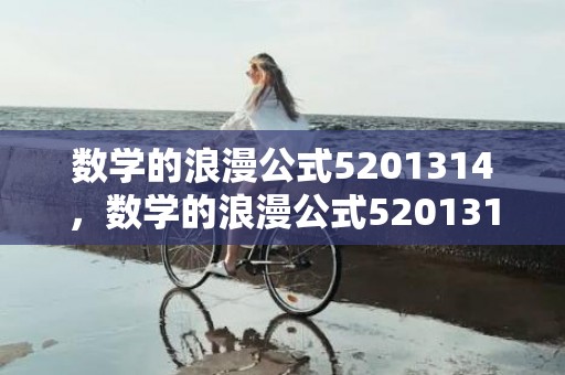 数学的浪漫公式5201314，数学的浪漫公式5201314