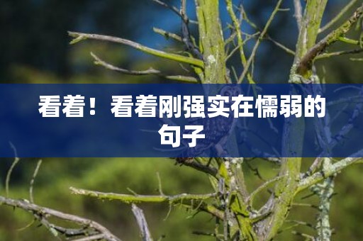 看着！看着刚强实在懦弱的句子