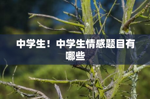 中学生！中学生情感题目有哪些