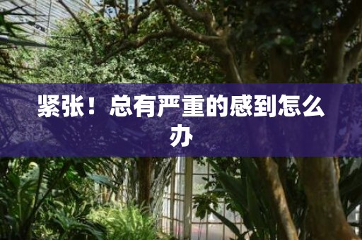 紧张！总有严重的感到怎么办