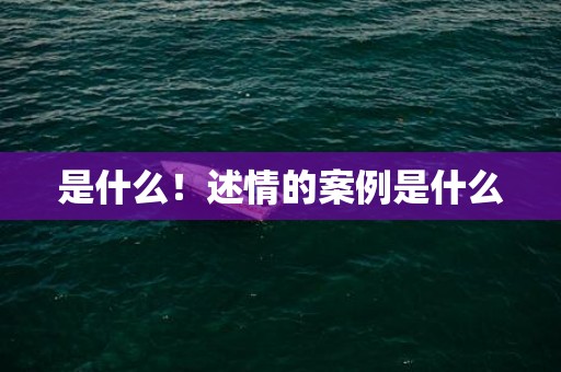 是什么！述情的案例是什么
