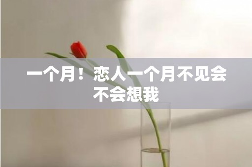 一个月！恋人一个月不见会不会想我