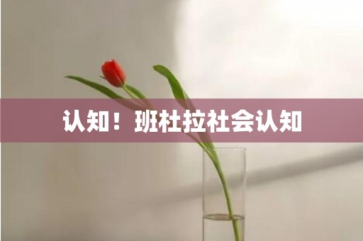 认知！班杜拉社会认知