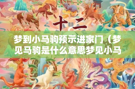 梦到小马驹预示进家门（梦见马驹是什么意思梦见小马驹是什么意思）