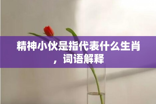 精神小伙是指代表什么生肖，词语解释