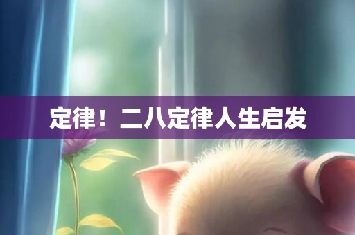 定律！二八定律人生启发
