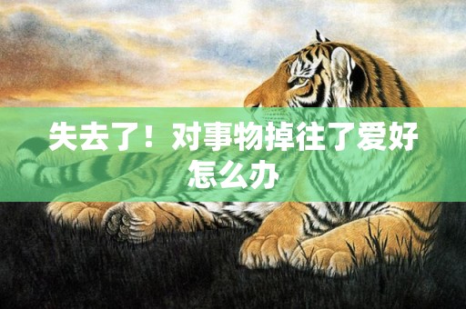 失去了！对事物掉往了爱好怎么办