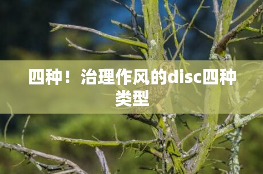 四种！治理作风的disc四种类型