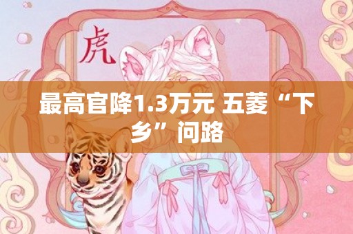 最高官降1.3万元 五菱“下乡”问路