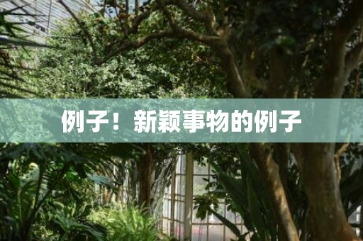 例子！新颖事物的例子