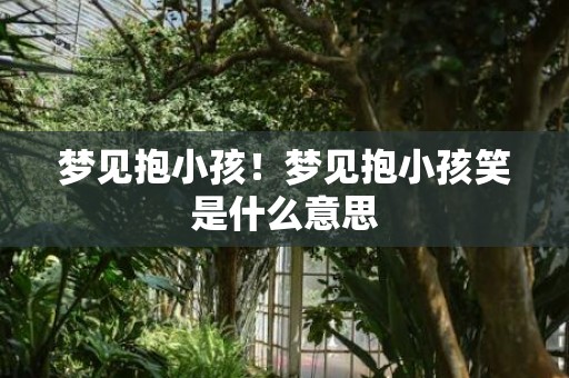 梦见抱小孩！梦见抱小孩笑是什么意思