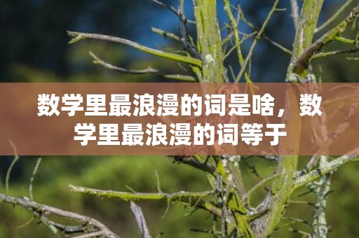 数学里最浪漫的词是啥，数学里最浪漫的词等于