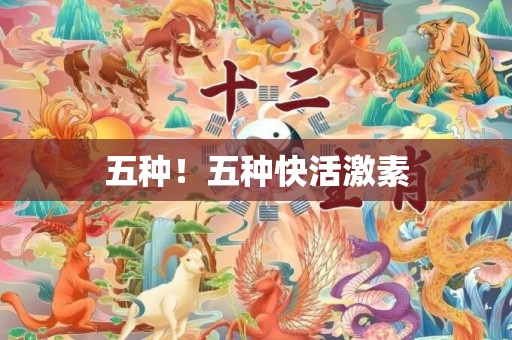 五种！五种快活激素